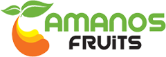 main-logo